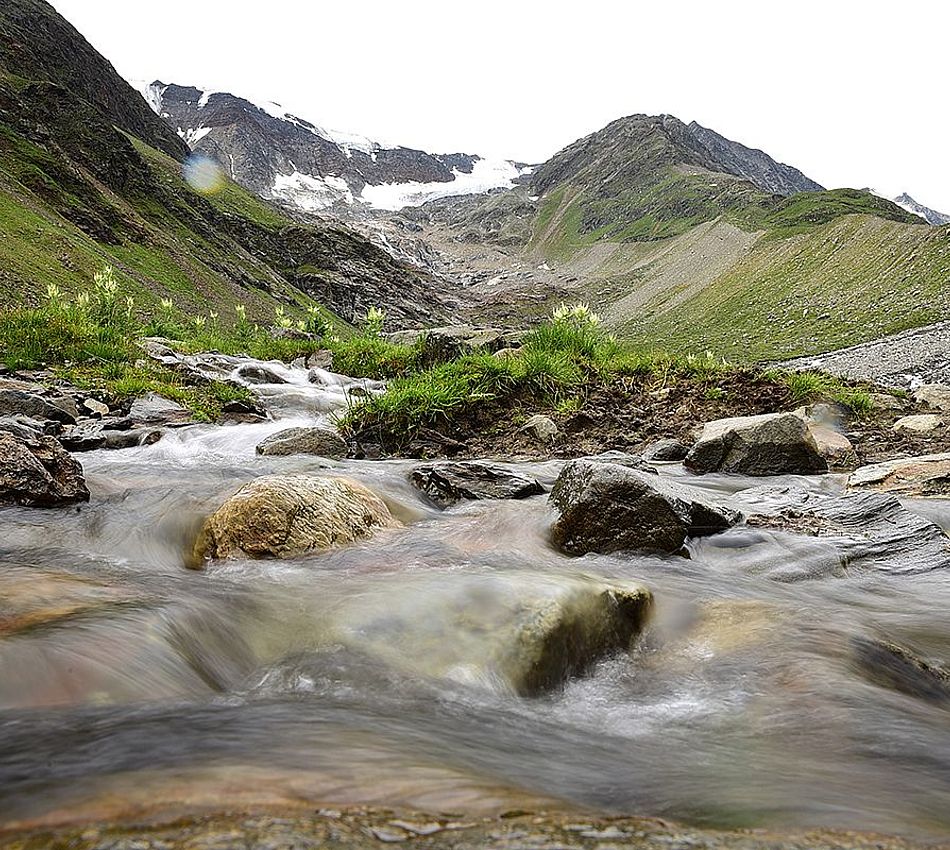 Trail Running Parkour